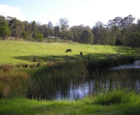 Rural / Farming commercial property sold at 500 Bellbird Road Clifton Creek VIC 3875