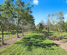 Rural / Farming commercial property sold at 190 McGilchrist Road Palmwoods QLD 4555