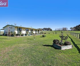 Rural / Farming commercial property sold at 430 Perryman Lane Table Top NSW 2640