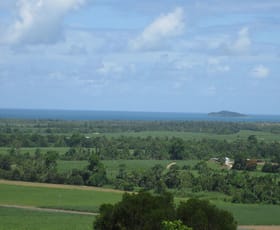 Rural / Farming commercial property sold at 0 Cowley Beach Road Lower Cowley QLD 4871