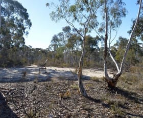 Rural / Farming commercial property sold at 1245 Sandy Point Road Lower Boro NSW 2580
