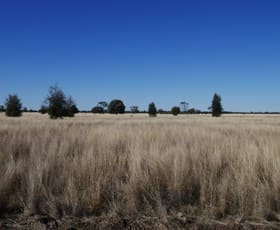 Rural / Farming commercial property sold at Tara QLD 4421 Rural / Farming commercial property sold at Tara QLD 4421