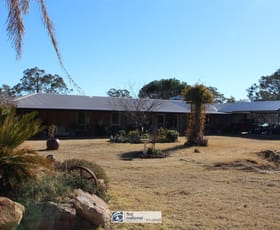 Rural / Farming commercial property sold at 14381 Guyra Road Tingha NSW 2369