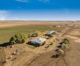 Rural / Farming commercial property sold at 291 Back Plains Road Back Plains QLD 4361