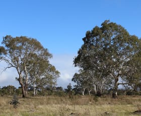 Rural / Farming commercial property sold at 712 Powers Creek-Bourkes Bridge Road Kadnook VIC 3318