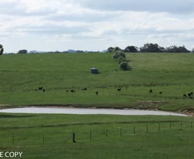 Rural / Farming commercial property sold at 4828 Mid Western Highway Blayney NSW 2799
