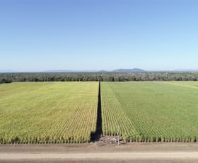 Rural / Farming commercial property sold at Rita Island QLD 4807