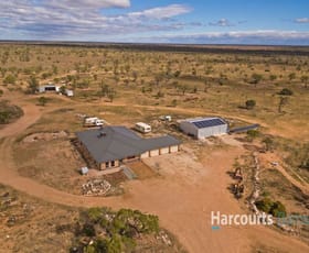 Rural / Farming commercial property sold at 353 Old Coach Road Blanchetown SA 5357
