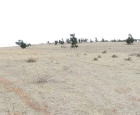 Rural / Farming commercial property sold at Lot 152 Cooks Hill Lane Alectown NSW 2870