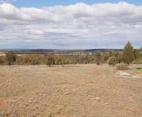 Rural / Farming commercial property sold at 672 Merungle Hill Road Merungle Hill NSW 2705