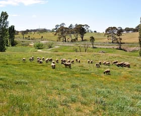 Rural / Farming commercial property sold at 4454 Mid Western Highway Blayney NSW 2799