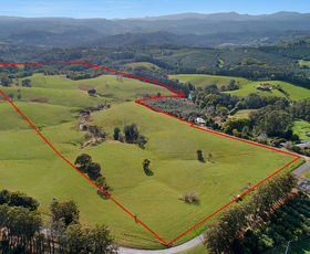 Rural / Farming commercial property sold at 1383 Dunoon Road Dunoon NSW 2480