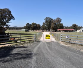 Rural / Farming commercial property sold at 1318 Cope Road Gulgong NSW 2852