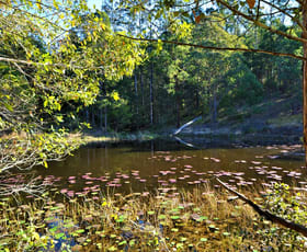 Rural / Farming commercial property sold at 110 Menzies Road South Arm NSW 2449