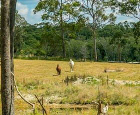 Rural / Farming commercial property sold at 233 Allandale Road North Arm QLD 4561