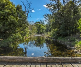 Rural / Farming commercial property for sale at 32 Longbottoms Road Chichester NSW 2420