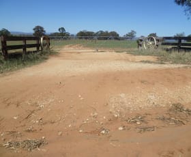 Rural / Farming commercial property sold at 211 BURMA ROAD Binnaway NSW 2395