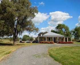 Rural / Farming commercial property sold at 1255 Cosgrove-Lemnos Rd Lemnos VIC 3631