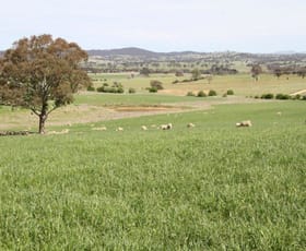 Rural / Farming commercial property for sale at 3/83 Yass Valley Way Manton NSW 2582
