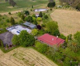 Rural / Farming commercial property sold at 295 Mount Torrens Road Lobethal SA 5241