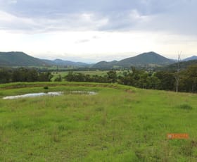 Rural / Farming commercial property sold at Lot 10, 1270 Nowendoc Road Mount George NSW 2424