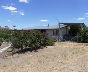 Rural / Farming commercial property sold at Lot 52 Crampton St Pithara WA 6608