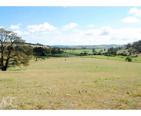 Rural / Farming commercial property sold at 'Patanga' 3629 Mitchell Highway Millthorpe NSW 2798