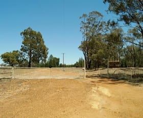Rural / Farming commercial property sold at 8L Medway Road Brocklehurst NSW 2830