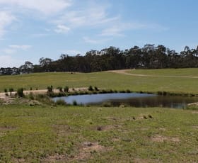Rural / Farming commercial property sold at 202 Silverstream Road Lower Boro NSW 2580