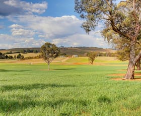 Rural / Farming commercial property sold at Berrima NSW 2577