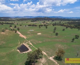 Rural / Farming commercial property sold at 1390 Bara Road Bara NSW 2850