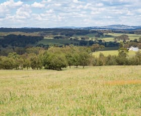 Rural / Farming commercial property sold at 148 Scotts Gully Road Tenterfield NSW 2372