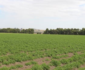 Rural / Farming commercial property sold at 40 Gannons Road Murroon VIC 3243