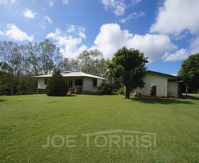 Rural / Farming commercial property for sale at 296 Kenneally Road Mareeba QLD 4880