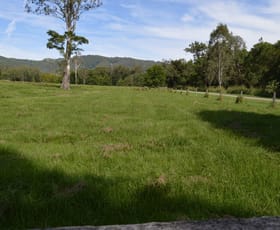 Rural / Farming commercial property sold at Conondale QLD 4552