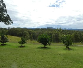 Rural / Farming commercial property sold at Minimbah NSW 2312