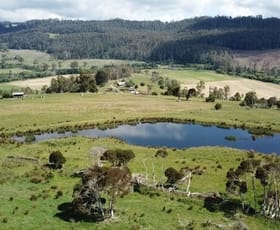 Rural / Farming commercial property sold at 125 Lucas Road Kimberley TAS 7304