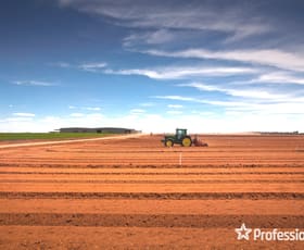 Rural / Farming commercial property sold at 477 Hocking Road Happy Valley VIC 3549