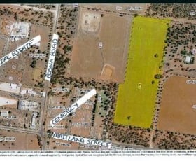 Rural / Farming commercial property sold at LOT 216/8 WILLIS LANE Condobolin NSW 2877