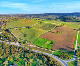 Rural / Farming commercial property for sale at Lot 404 Richard Street Penrice SA 5353