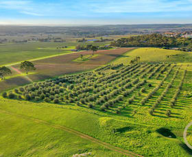 Rural / Farming commercial property for sale at Lot 404 Richard Street Penrice SA 5353