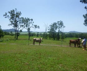 Rural / Farming commercial property sold at 1/ Christies Road Bemerside QLD 4850