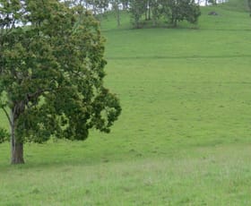 Rural / Farming commercial property sold at 685 Spring Grove Road Spring Grove NSW 2470