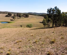 Rural / Farming commercial property sold at 59 Osmonds Road Middle Arm NSW 2580