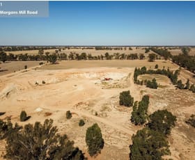 Rural / Farming commercial property for sale at 100 Morgans Mill Road BEARII & 120A Kull Road Katandra VIC 3634