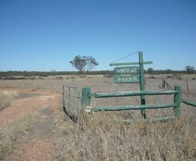 Rural / Farming commercial property sold at 38672 Leichhardt Highway Miles QLD 4415