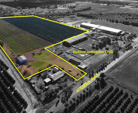 Rural / Farming commercial property sold at 11383 KIDMAN WAY Hanwood NSW 2680