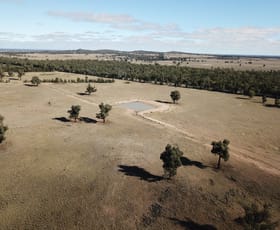 Rural / Farming commercial property sold at 'Euri Euri' 7630 Newell Hwy Tomingley NSW 2869