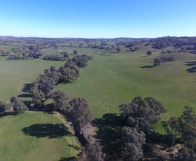 Rural / Farming commercial property sold at Murraguldrie Road Humula NSW 2652