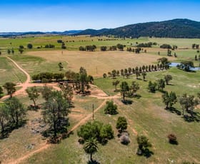 Rural / Farming commercial property sold at 67 Murrays Road Eugowra NSW 2806
